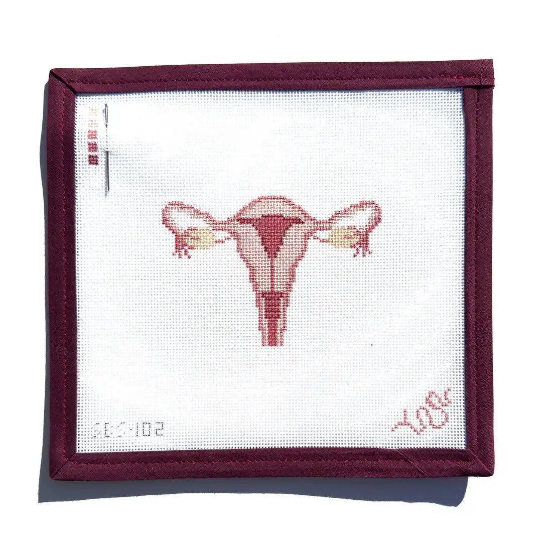 SBS102 - Uterus Cross Section