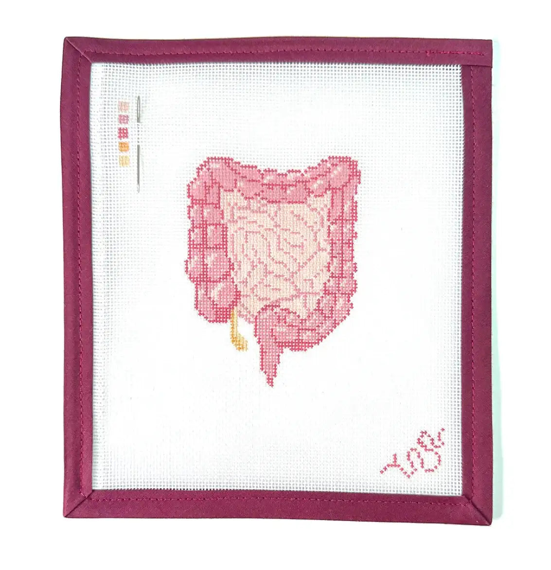 SBS104 - Digestive Tract