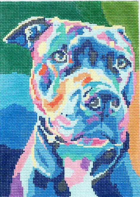 SBS166 - CL Pitbull