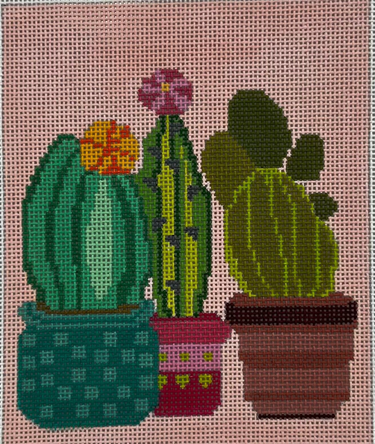 ASIT351C - Three Pots Cacti