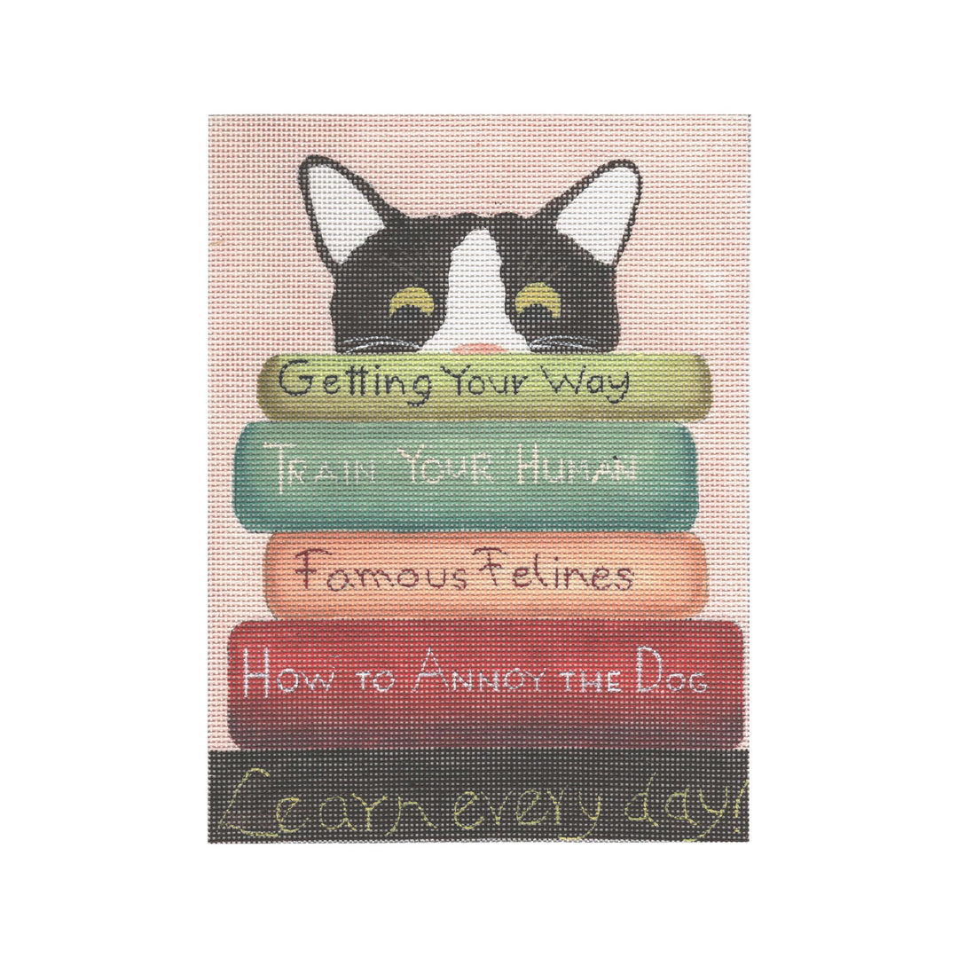 GD-PL01 - Cat with Books