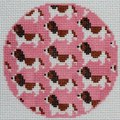 GH-D18 - Cavalier King Charles