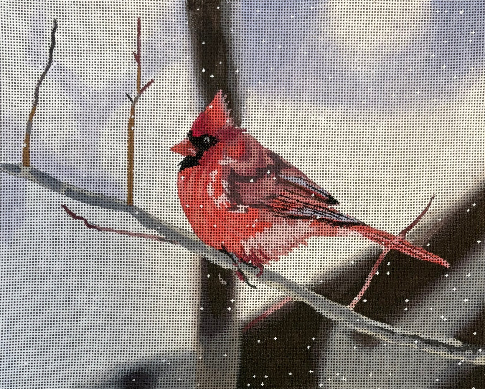 GIA07 - Cardinal