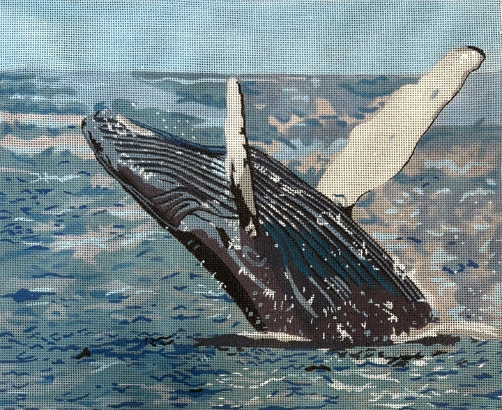 GIA08 - Whale