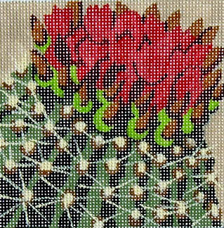 GL-115 - Cactus Flowers