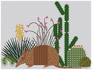 CH-A301 - Armadillo and Cactus