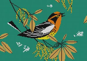 HC-B241 - Blackburnian Warbler