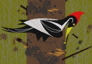 HC-I339 - Ivory Billed Woodpecker