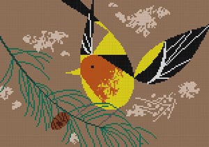 HC-W239 - Western Tanager