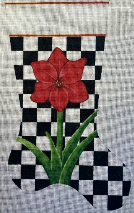 HO2333 - Checkered Amaryllis Stocking