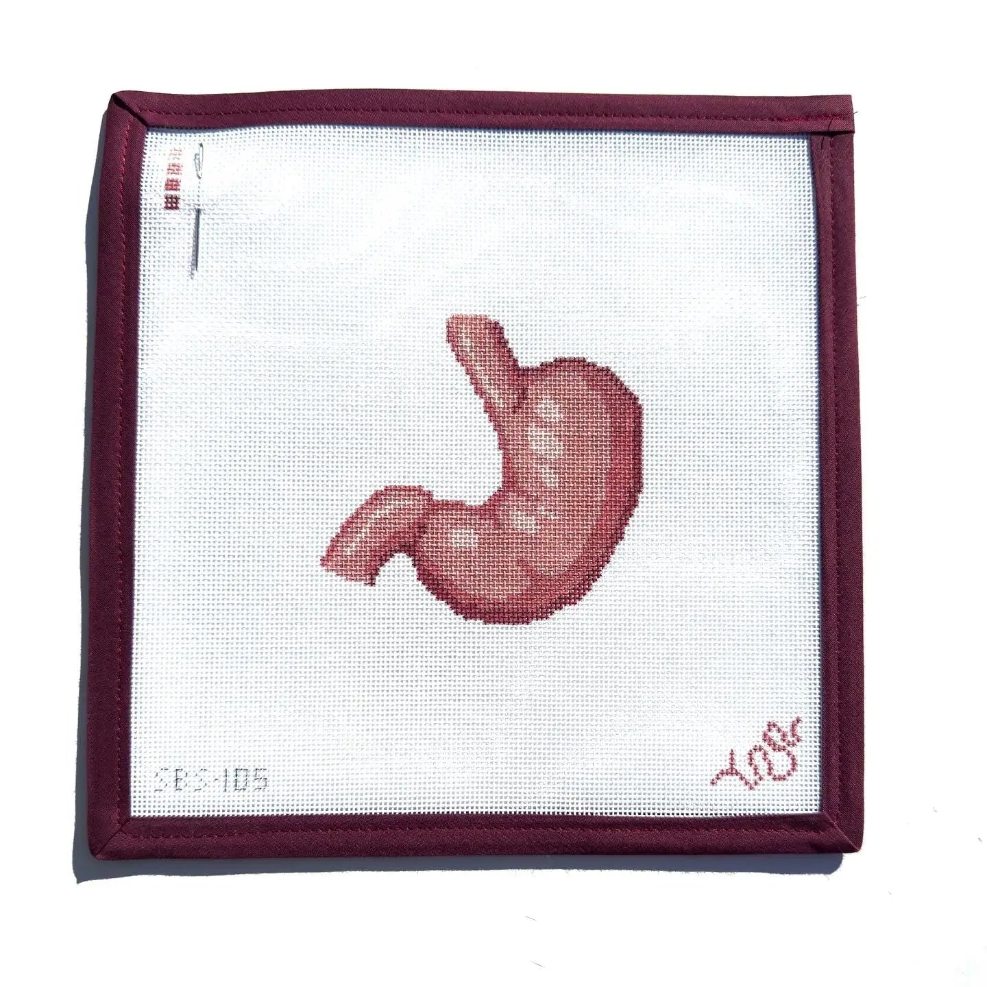 SBS105 - Stomach