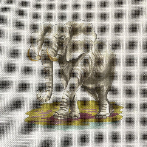 AN487 - Elephant