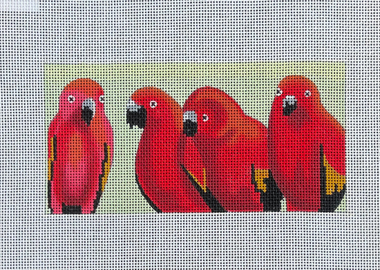 IN623 - Red Parrots