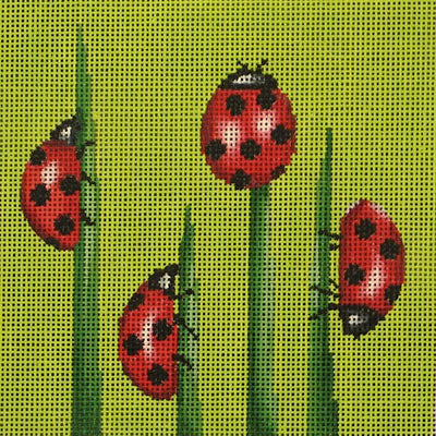 24016 - Ladybugs