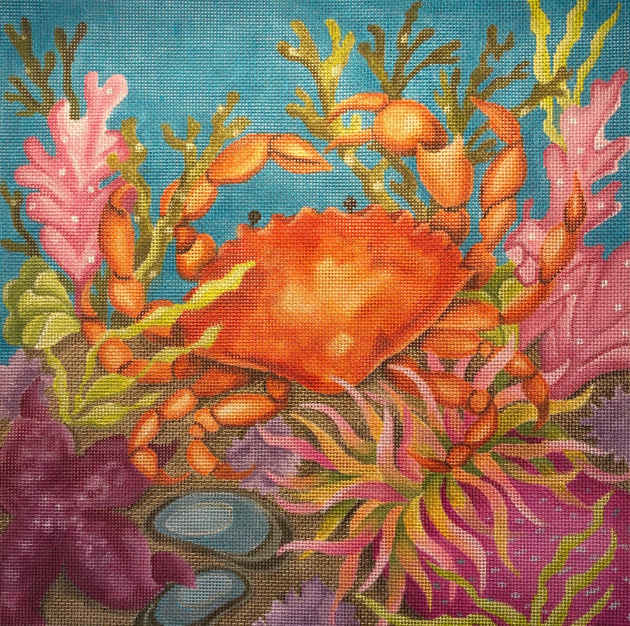 AL-035 - Coral Reef Crab