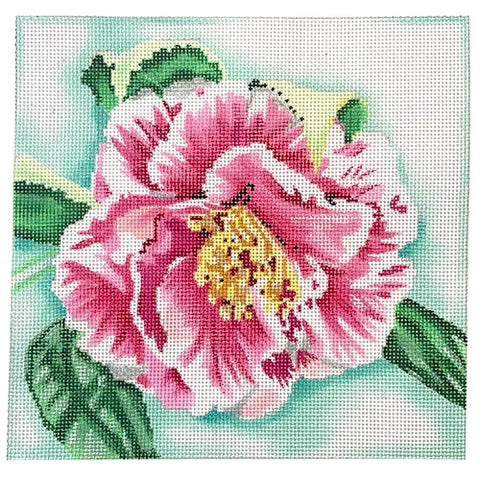 AT D1827 - Pink Camellia