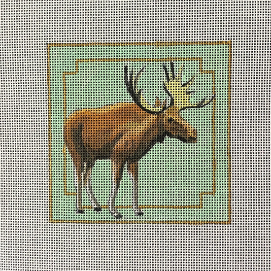 IN448 - Moose Coaster