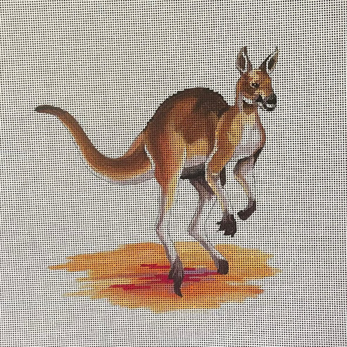 AN481 - Kangaroo