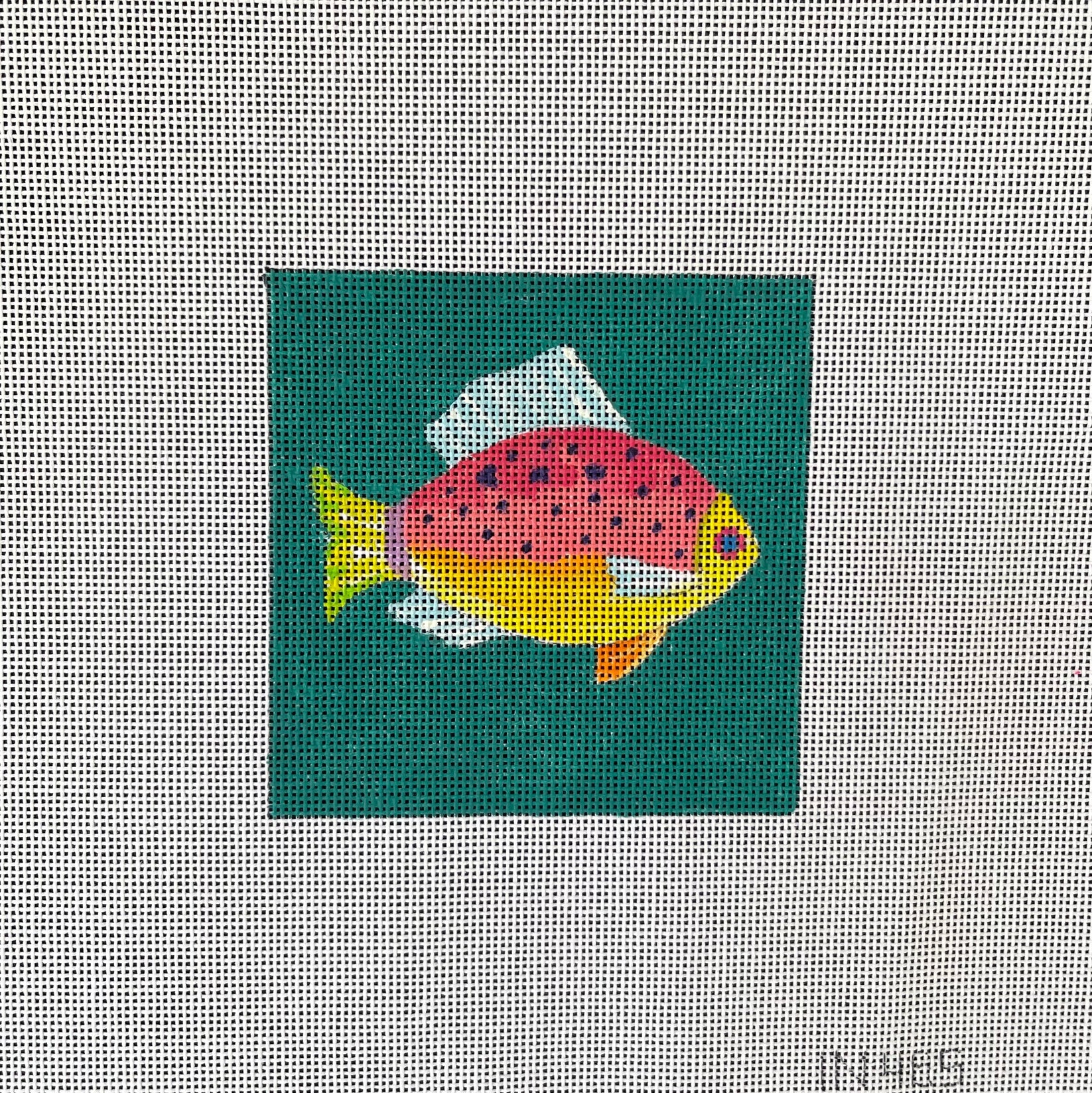 IN475 - Fish Coaster