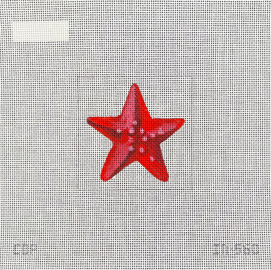 IN560 - Starfish