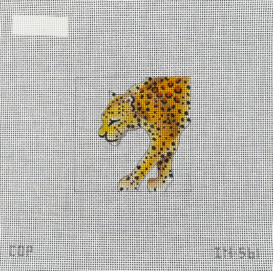 IN561 - Leopard