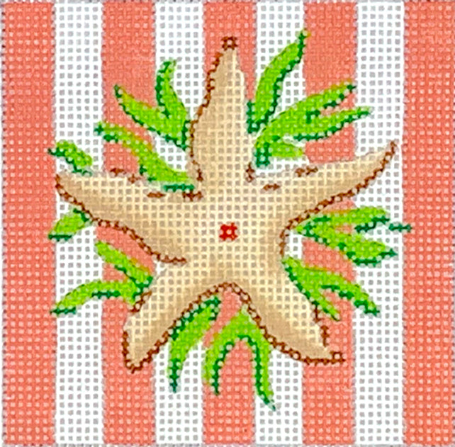 INSSQ3-33 - Starfish on Coral Cabana Stripes