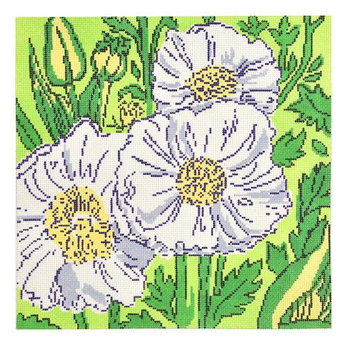 JM01 - Queen Wilhemina's Poppies