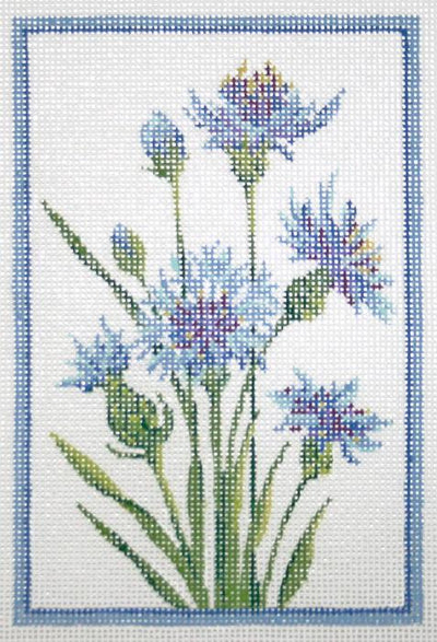 KCN401-18 - German Cornflower