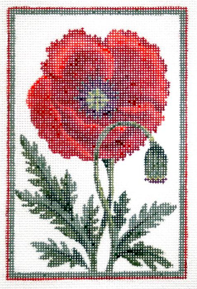 KCN402-18 - Belgium Poppy