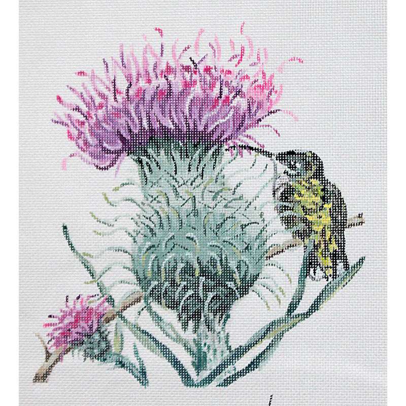 KL154 - Thistle Hummingbird