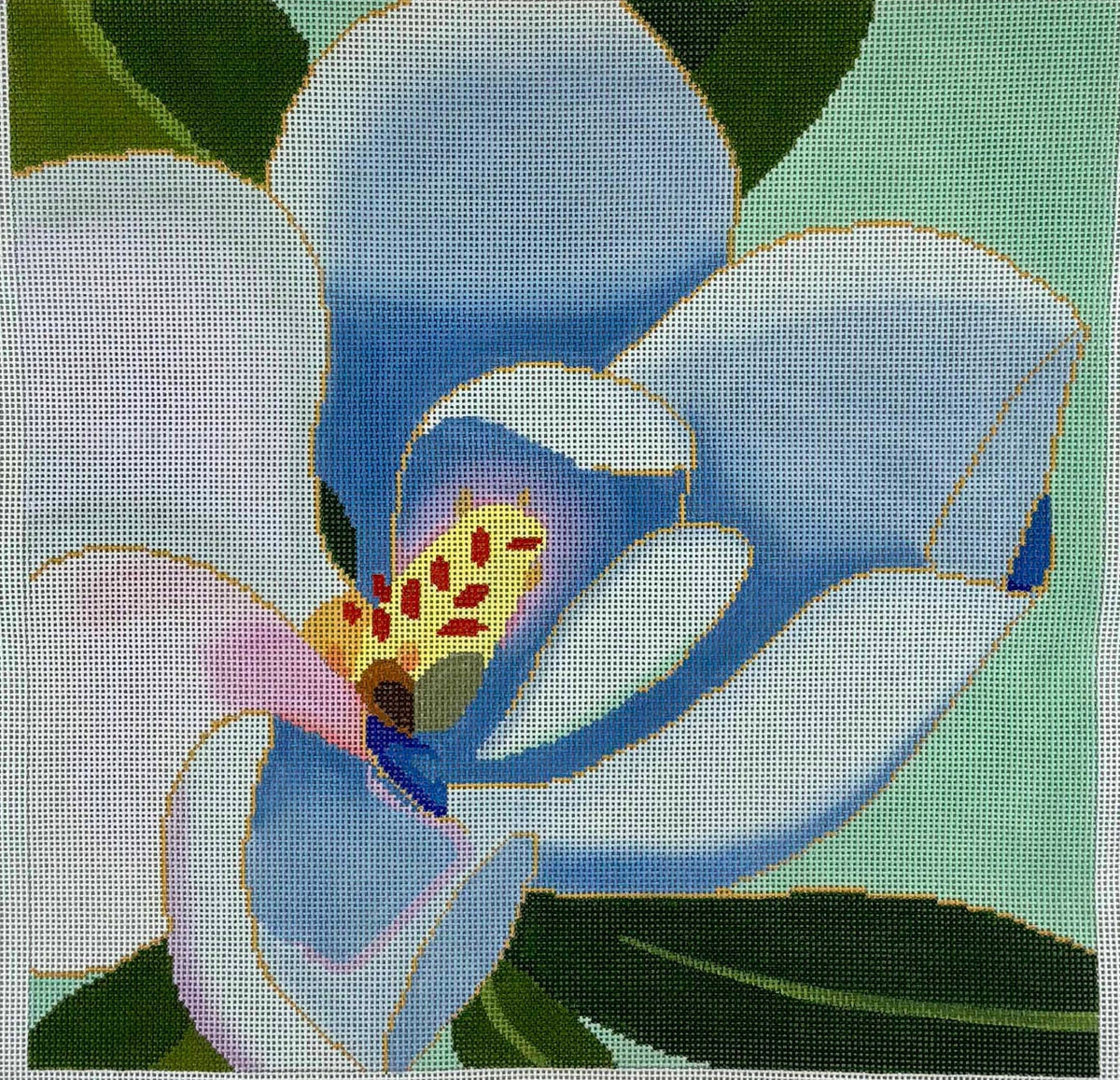 KMK1 - Magnolia