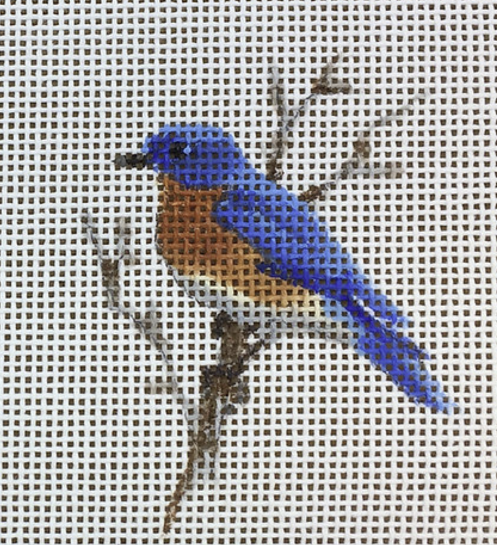 LGDOR302 - Bluebird