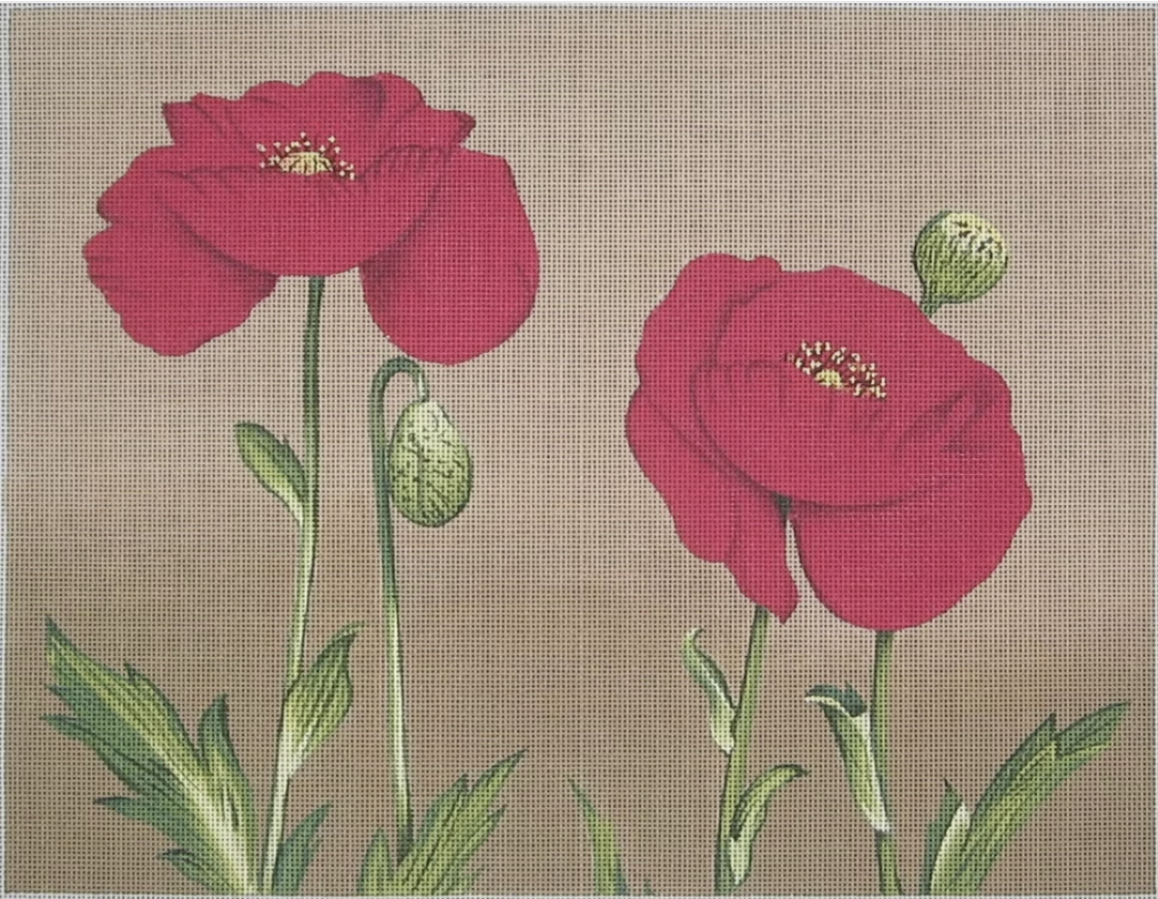 LGDP506 - Two Poppies