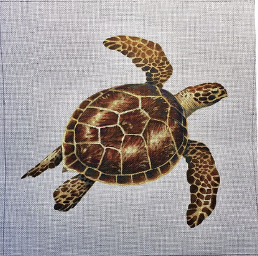 LGDP517 - Sea Turtle
