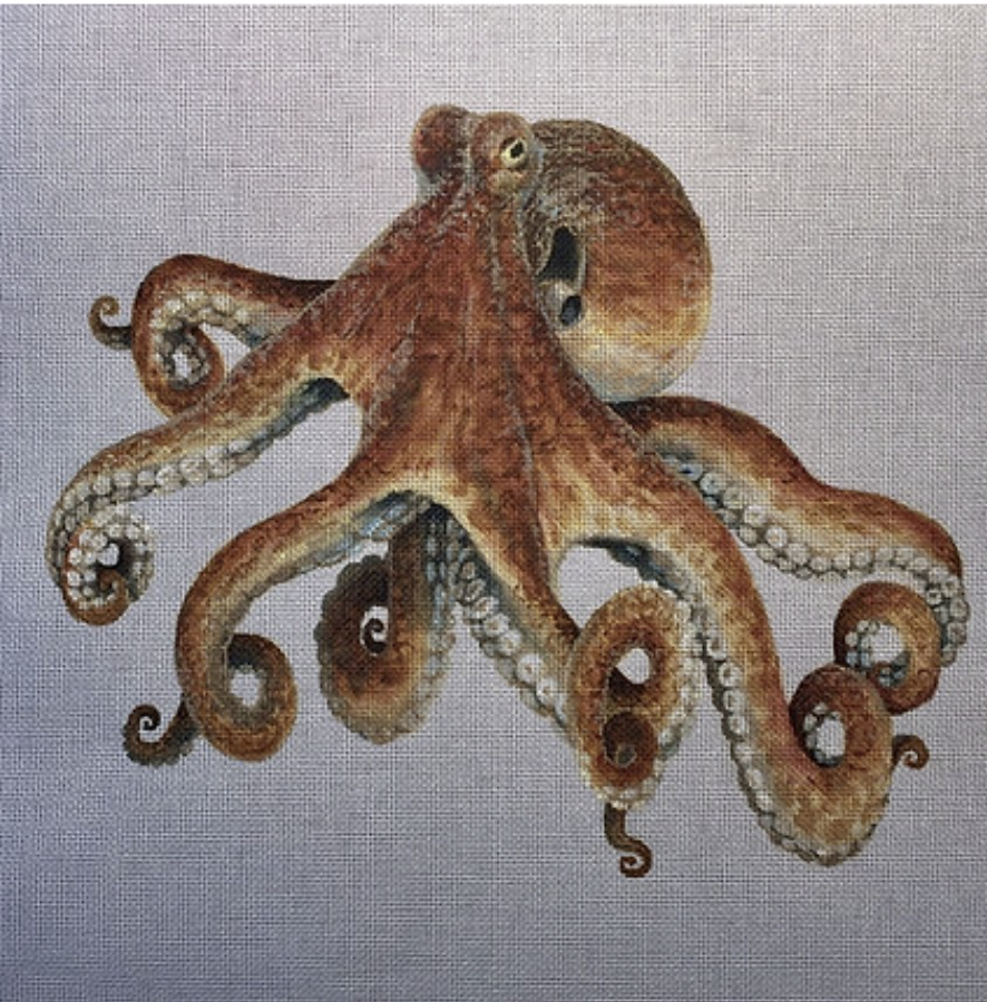 LGDP518 - Octopus