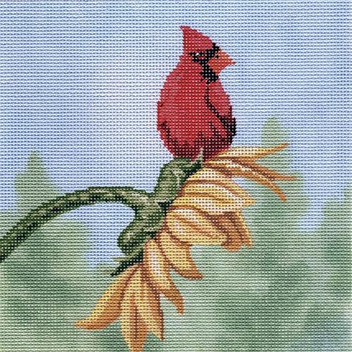 LL314 - Cardinal on Sunflower