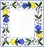 LR-315 - Blue, Yellow and White Frame