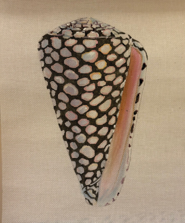 MC522 - Large Seashell