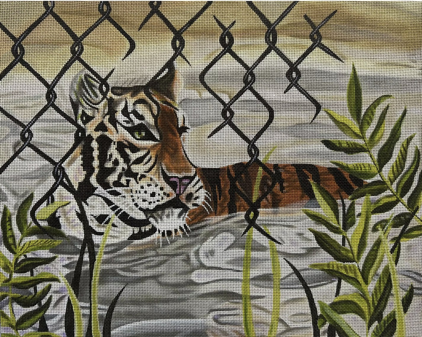 ME181 - Captive Tiger