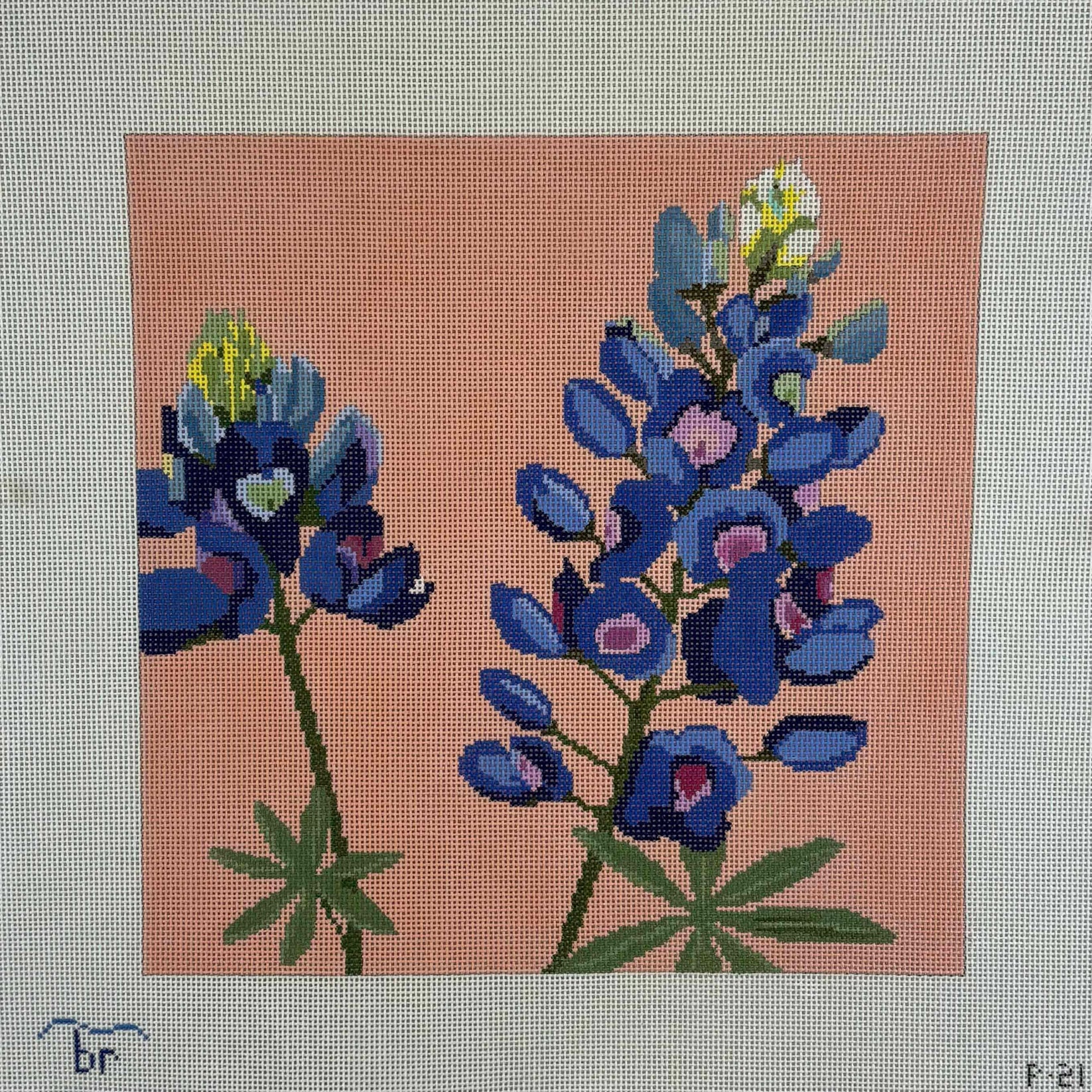 P21 - Bluebonnet