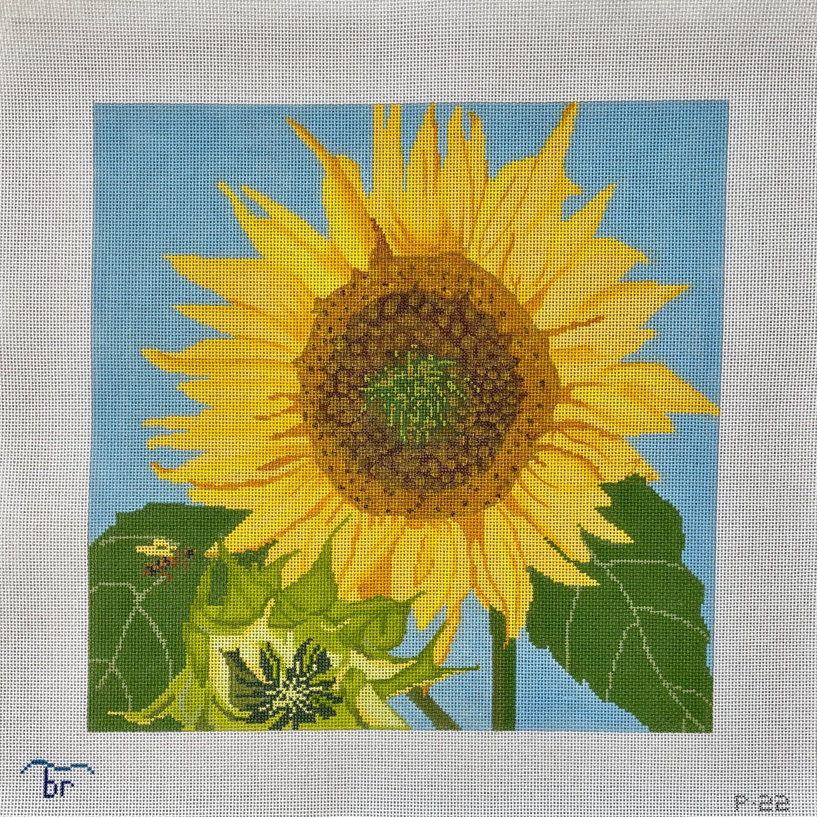 P22 - Sunflower
