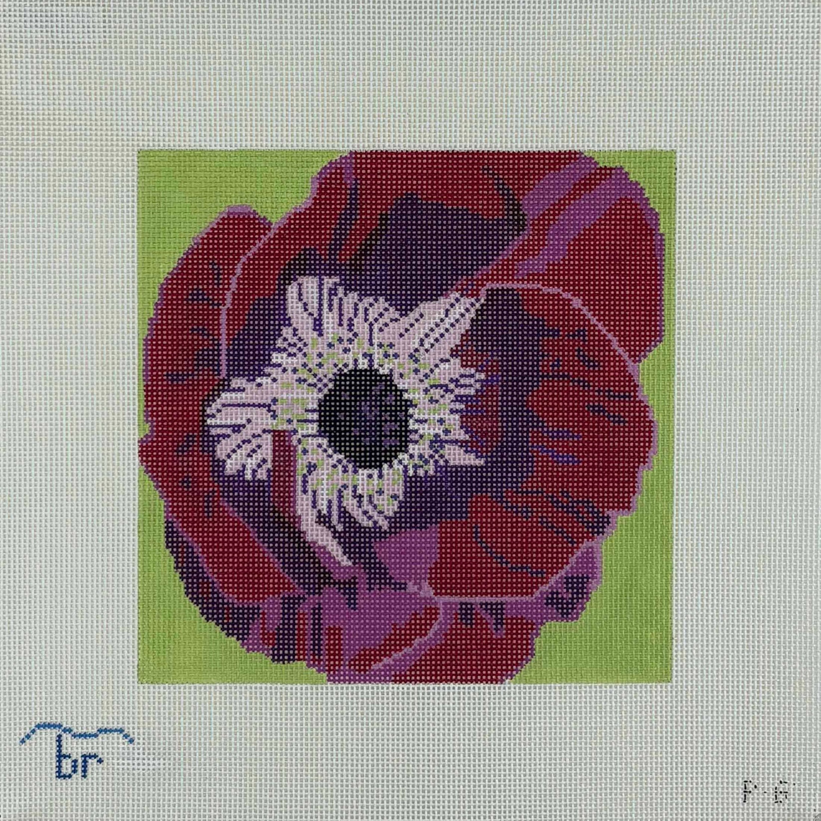 P6 - Anenome