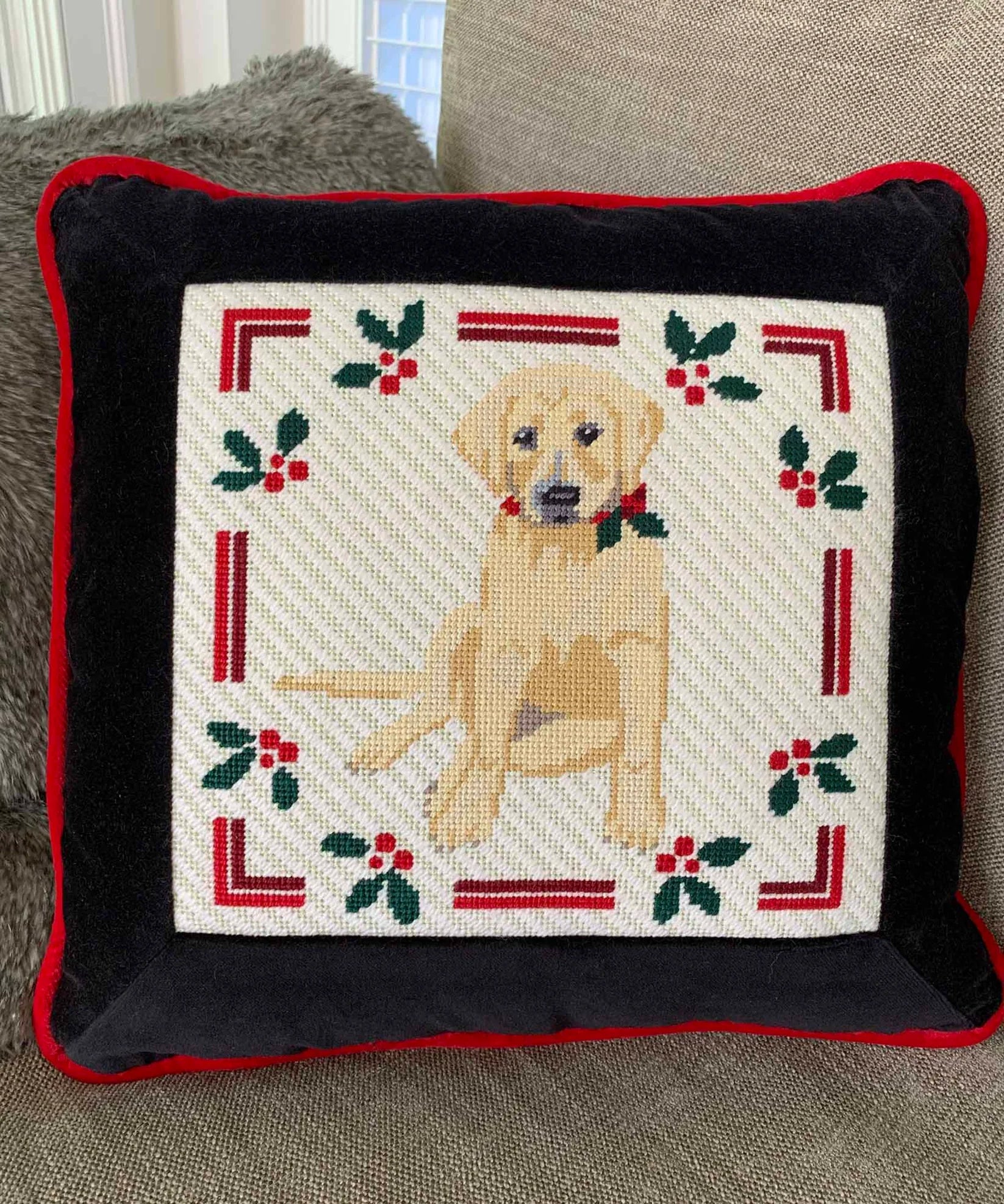 P9 - Lab Puppy with Holly - Yellow