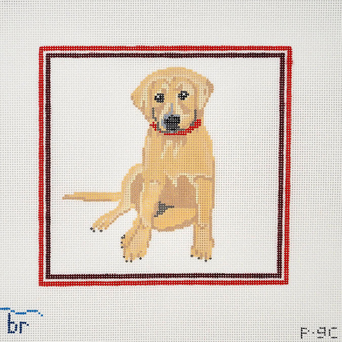 P9C - Yellow Lab - Red Frame