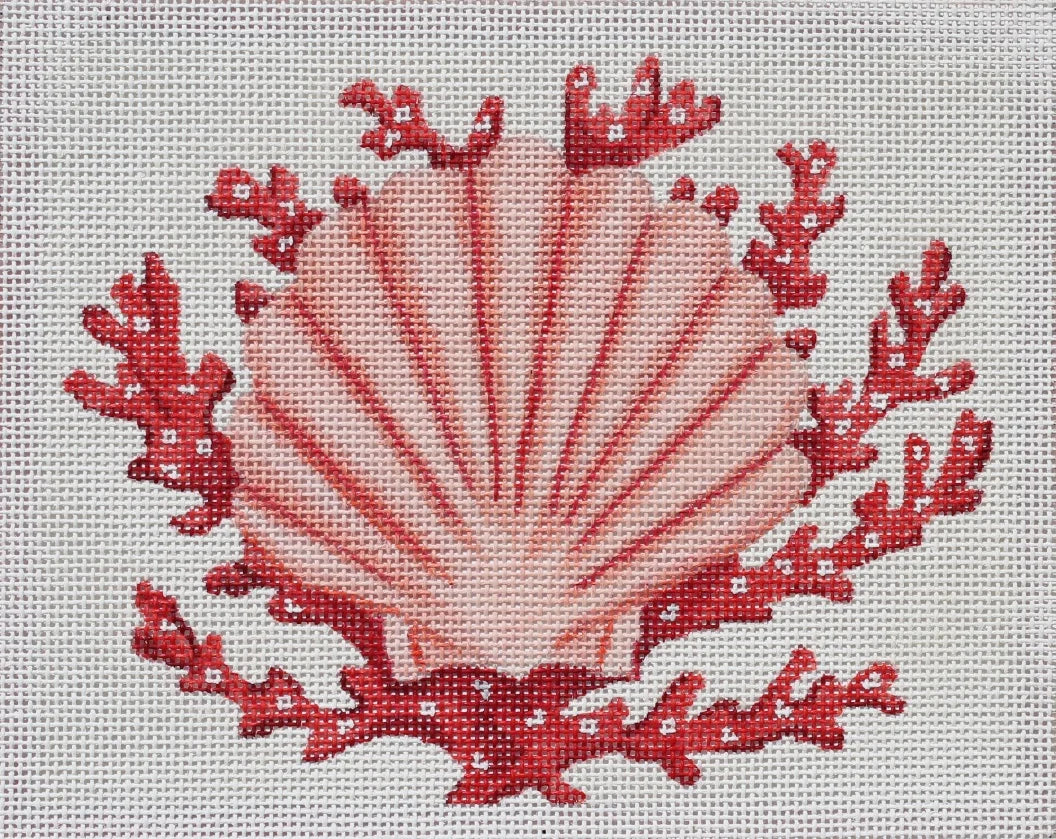 PL-50 - Scallop Shell with Coral