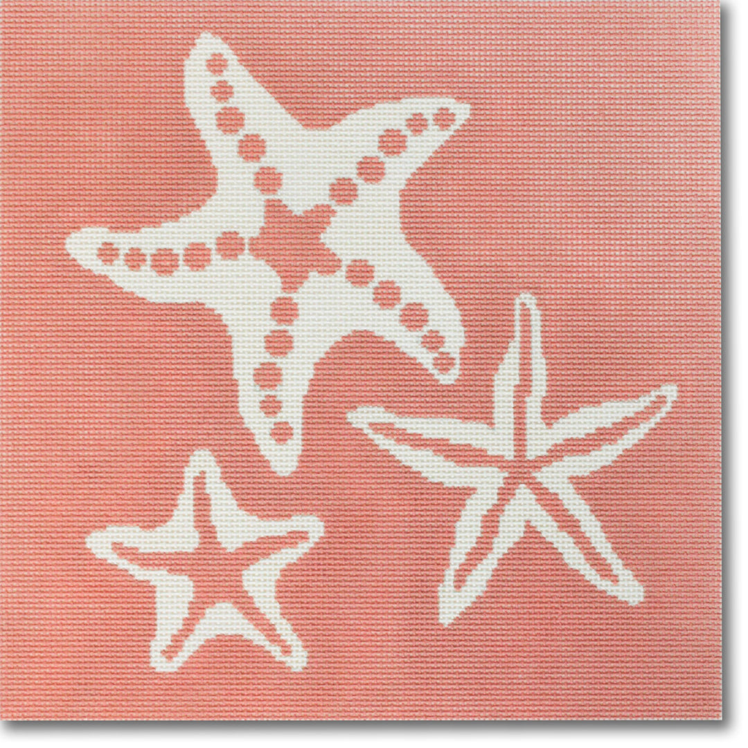 LRE-PL28 - Starfish on Coral