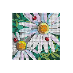 KDS-PL32 - Daisies