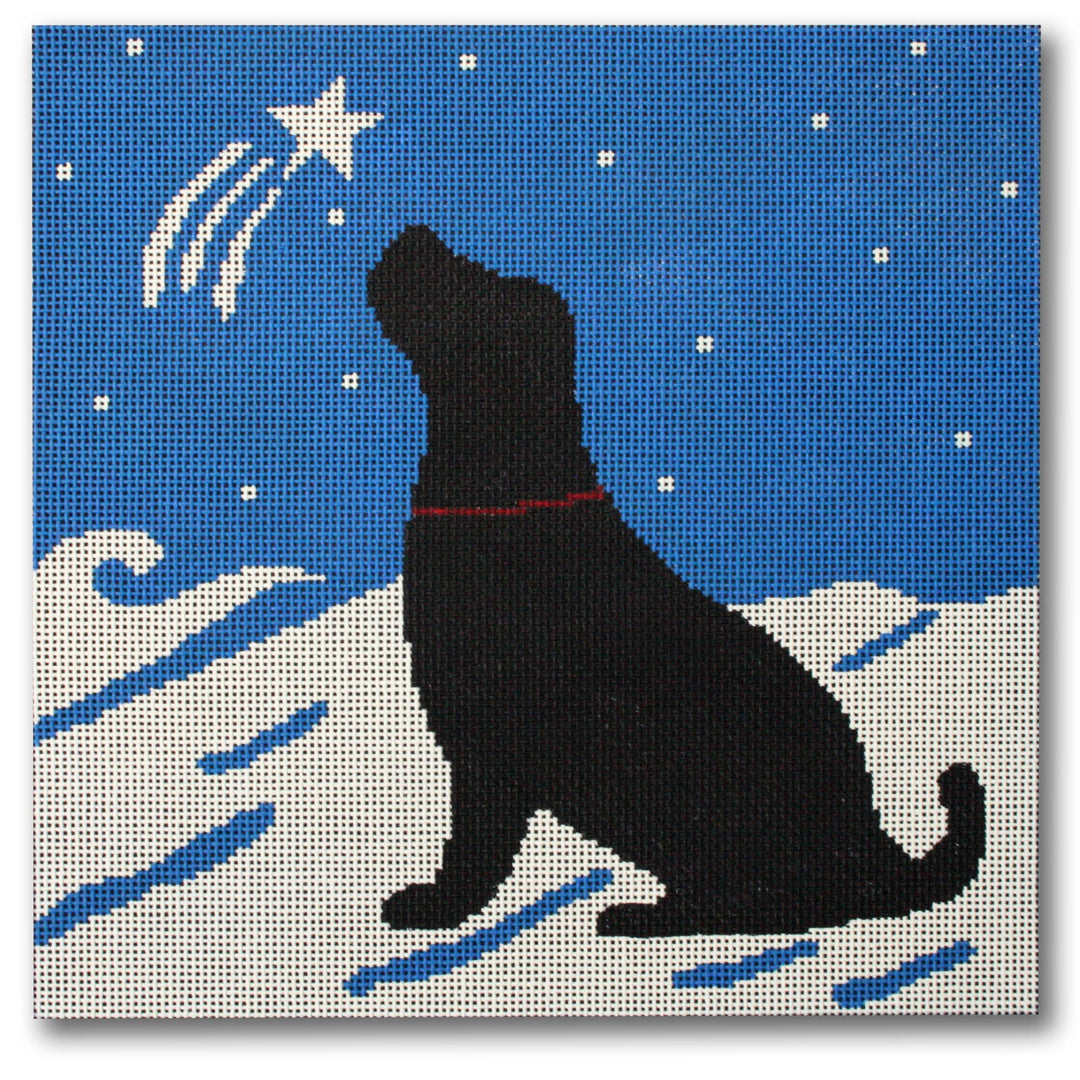 LM-PL50 - Shooting Star - Black Lab