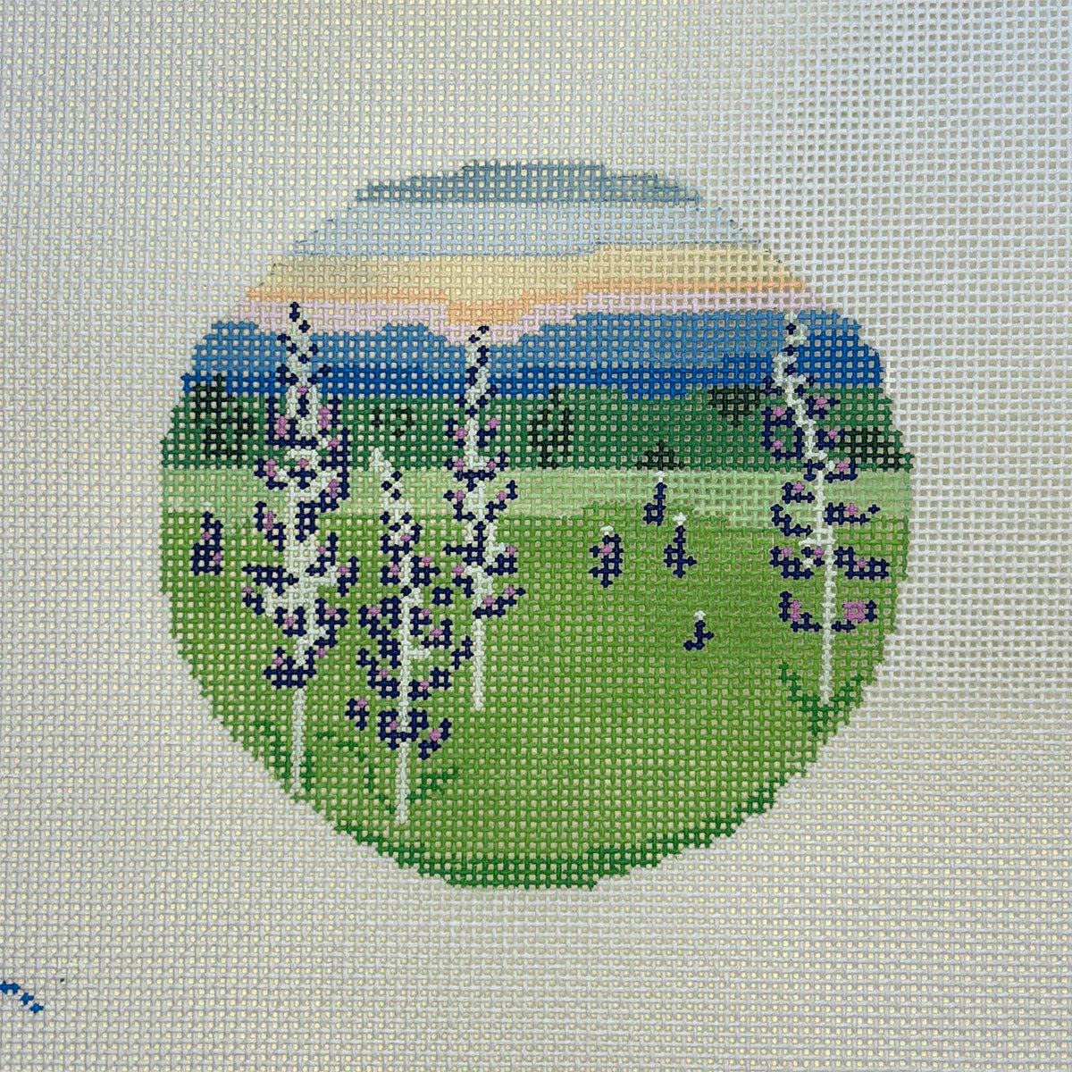 R14- Lupine Field