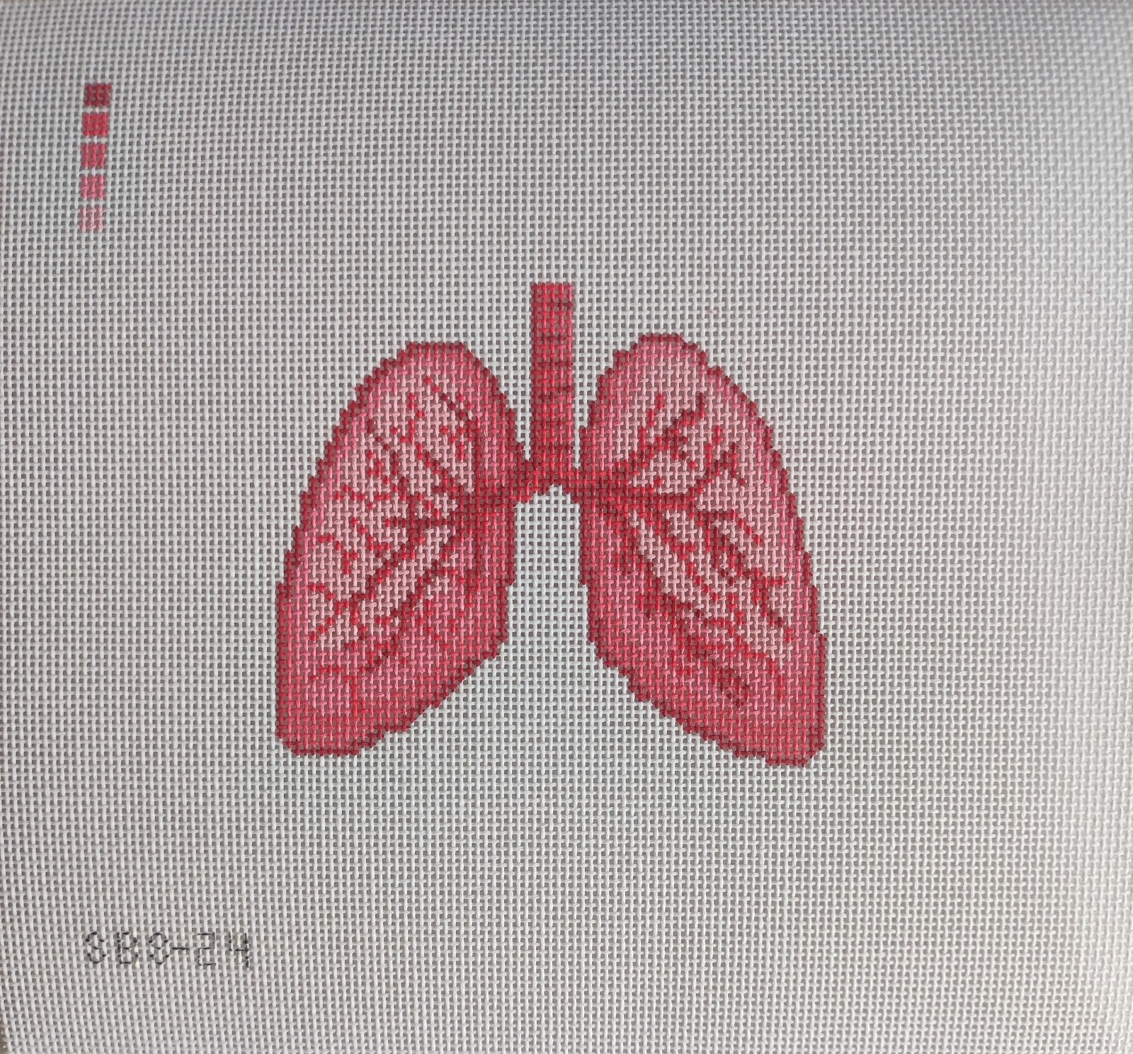 SBS24 - Anatomical Lungs & Stitch Guide